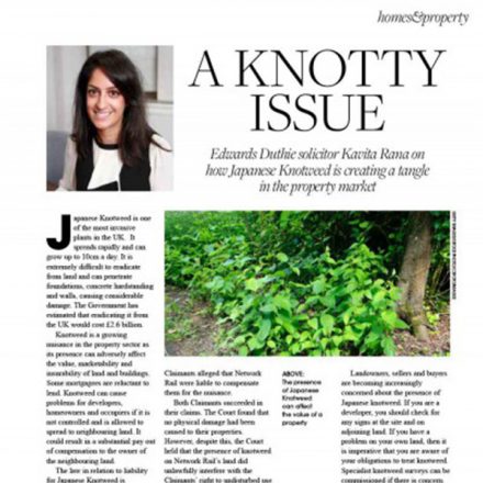 The effect of Japanese Knotweed in the property market